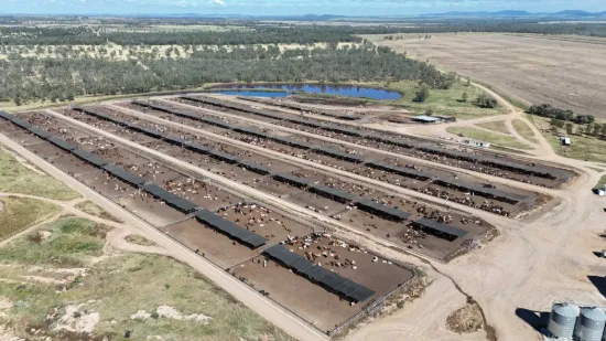 A HIGHLY DEVELOPED FEEDLOT OPERATION LOCATED IN THE CENTRAL HIGHLANDS