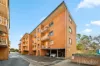 Affordable Investment or First Home