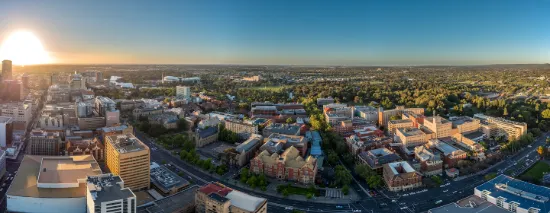 The Adelaidean