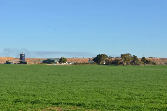 Large scale river frontage on 13 individual titles  grazing, cropping or horticulture opportunities
