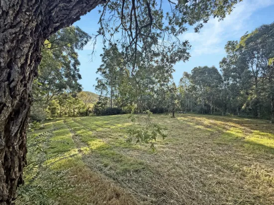 Picturesque Acres on the Wollombi Brook!