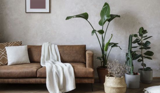 Woodards - Bentleigh - Real Estate Agency