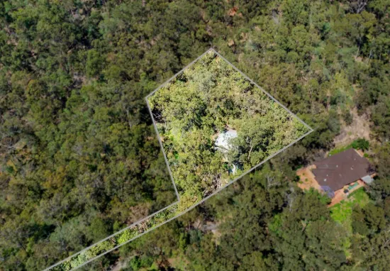 Escape to the Treetops  Tranquil Bushland Living in Cornubia
