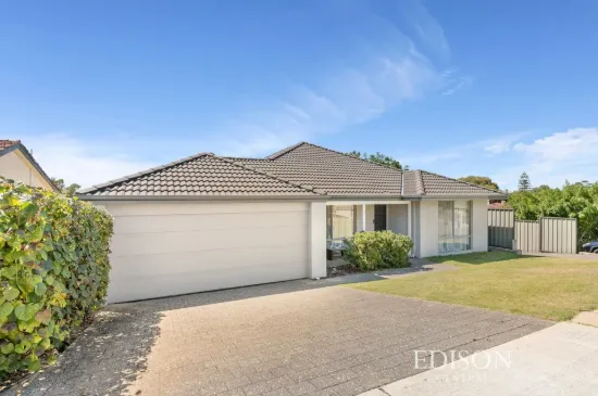 Options in Bayswater