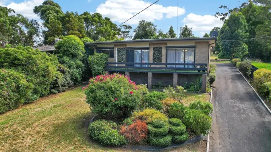 Garden Oasis on a Generous Block
