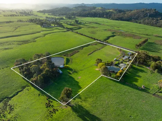 Wattle Gully - Your new lifestyle retreat.