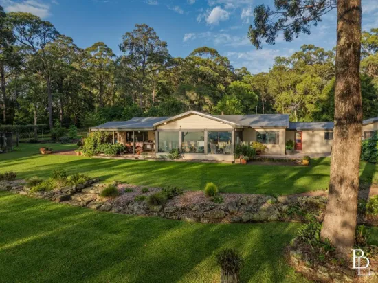 "Above It All - An Escarpment Sanctuary with Endless Ocean Views"