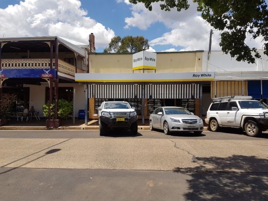 Ray White Rural  - BINGARA - Real Estate Agency