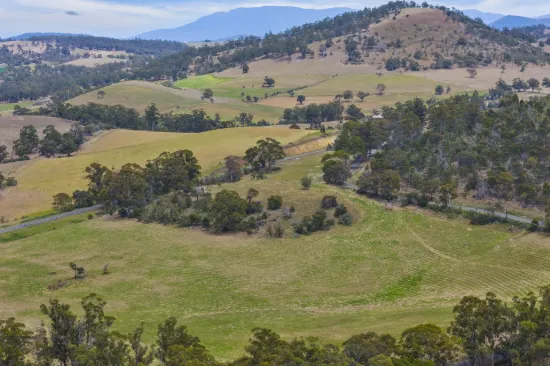 Unveil Your Dream: 37.6 Acres of Pure Potential Await in Orielton!