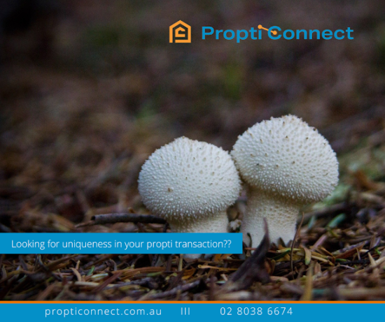 Propti Connect - Real Estate Agency