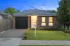 The Quiet Flex on Jervois Street