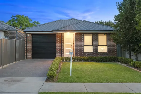 The Quiet Flex on Jervois Street