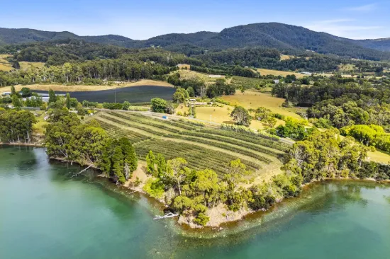 The Cherry Farm - For Sale or Lease