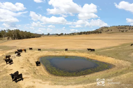 OUTSTANDING FARMING AND GRAZING OPPORTUNITY ON MUDGEE'S DOORSTEP