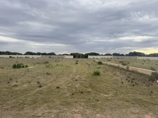39 Eurithmic Link, Wandina - 933sqm of Opportunity