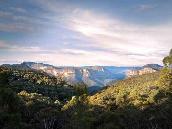 Ray White - Upper Blue Mountains - Real Estate Agency