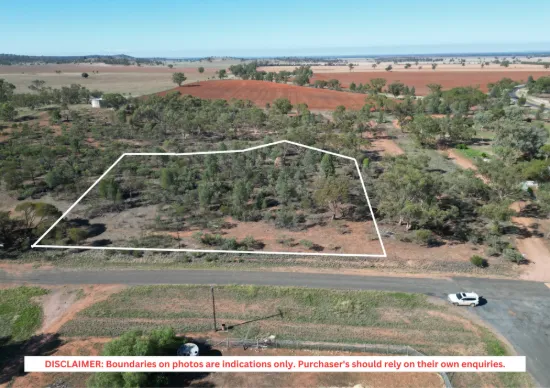 Affordable Vacant Land on the Edge of Weethalle