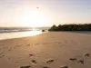 Seaclusion