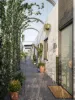 Yarraville Green