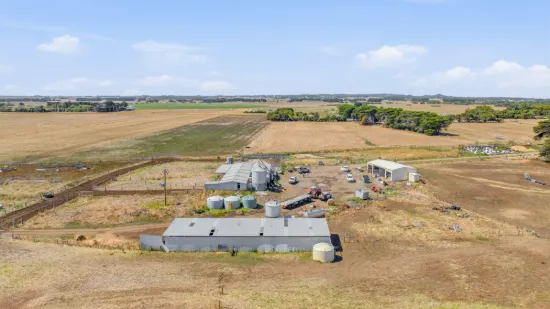 High production Dairy Farm