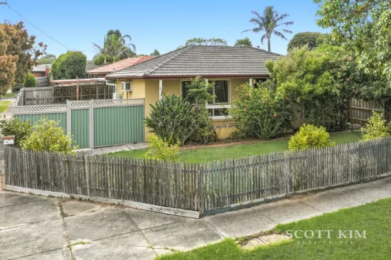 Light-Filled Family Living on Prime Corner Block