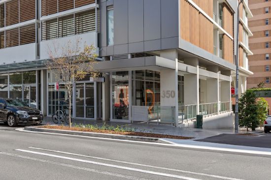 Bondi Realty - Bondi Junction - Real Estate Agency