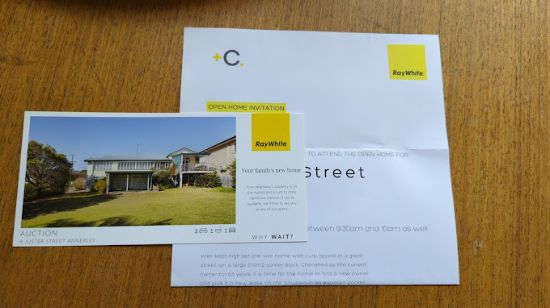Ray White - Bulimba - Real Estate Agency