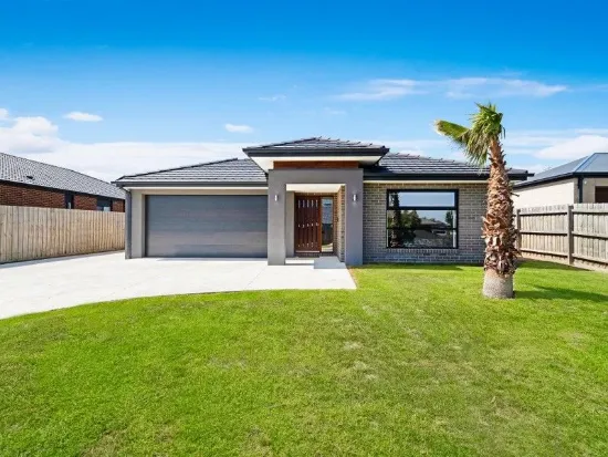 SPACE & A MONSTROUS SHED - ALL ON 809m²