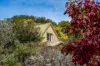 Garden Sanctuary With Coastal Views