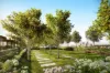 Orchard Terrace