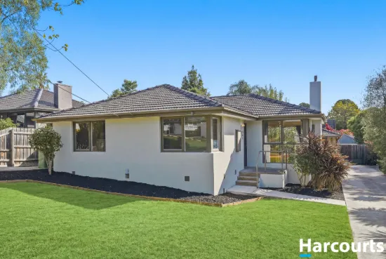 Newly Renovated Home - Walk to Everything Convenience