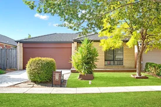 Alamanda School Zone-Luxury Single Storey 4 Bedroom Family Home