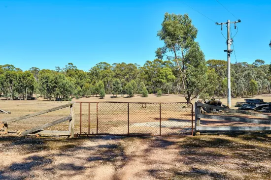 Private Lifestyle Block with Dam & State Forest Boundary