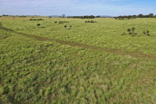 178 Ha Vacant land - 12 Km to Roma