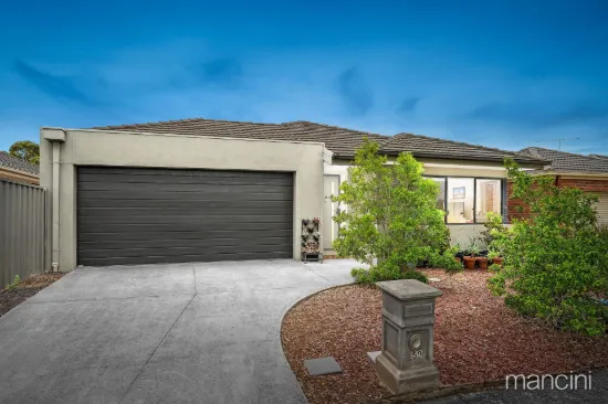Modern Single-Level Living