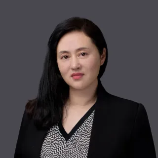 Lisa Liu - Real Estate Agent