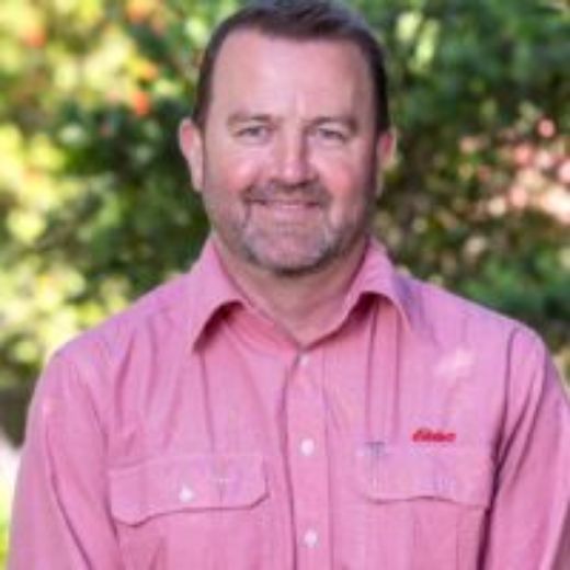 Damien Geyer - Real Estate Agent at Elders Real Estate - Barossa Sales - RLA 62833