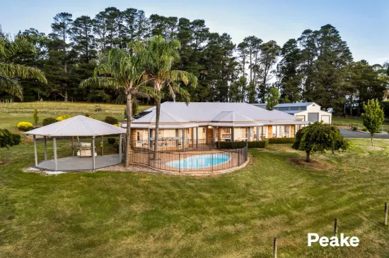Elevated Acreage Living, 22 Acres