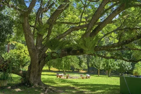 Mudbilly - A Unique Nature Retreat