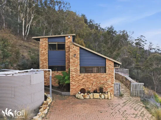 A Private Bushland Retreat Within Reach of Everything