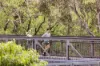 Riverbank – The Park House