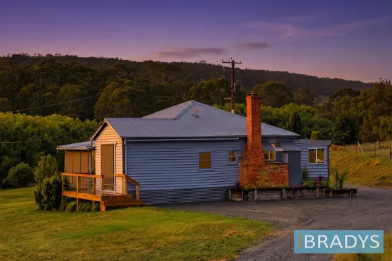 Charming 3 bed renovated country cottage with huge 4 bay shed