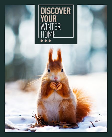 Mid Mountains Real Estate - Real Estate Agency