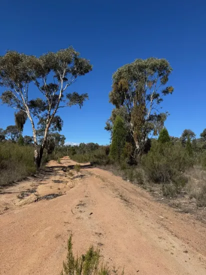 MID WESTERN REGIONAL COUNCIL SALE OF LAND FOR UNPAID RATES