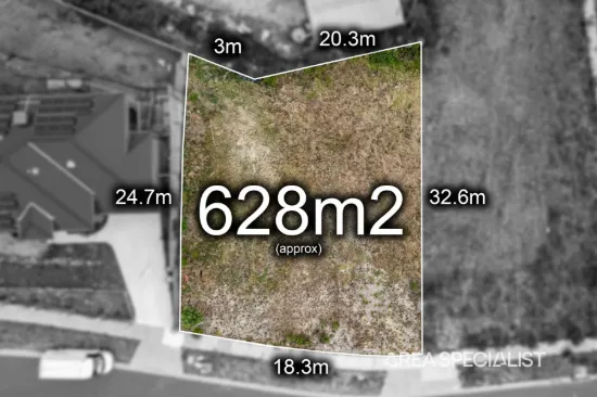 The Brief: Your Dream Home Awaits!
