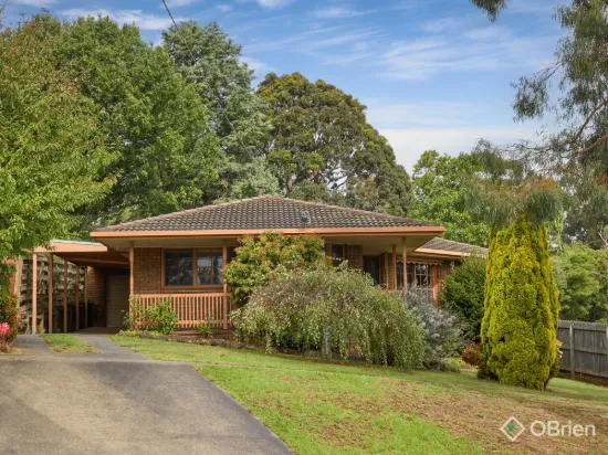 Filled with 90's Charm & Stunning Mountain Outlook