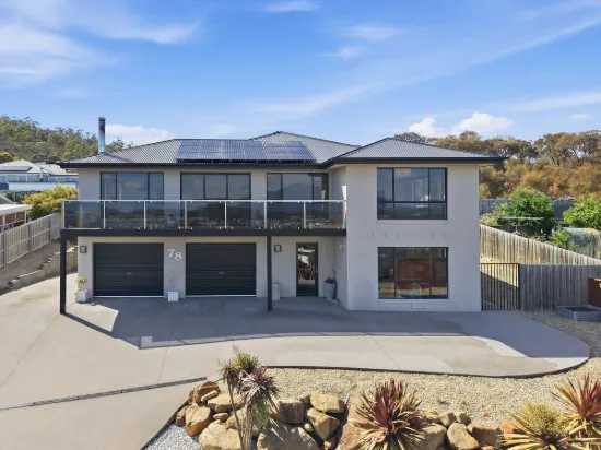 Light-filled living with expansive views