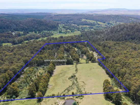 Secluded Bush Retreat with Creek & Endless Potential