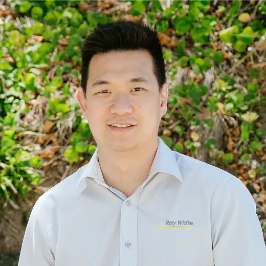 Derek Siu - Real Estate Agent at Ray White - Port Macquarie