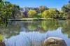 A High-Demand Investment in Canberras Education & Health Hub